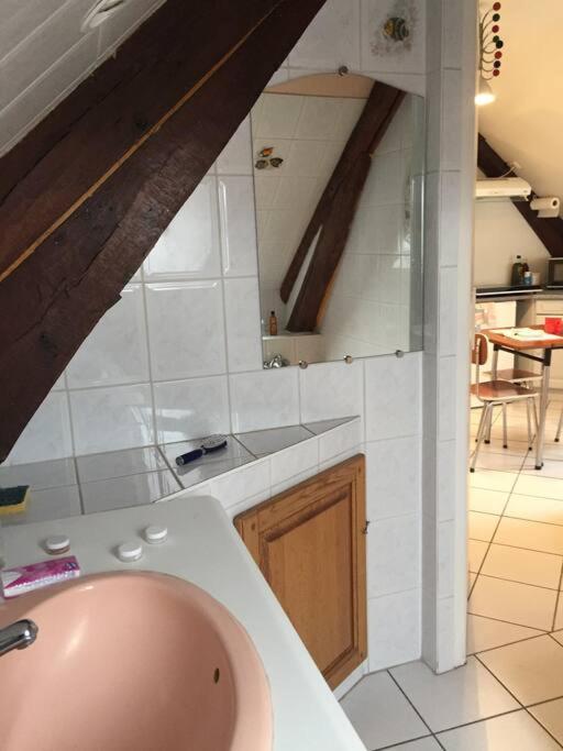 Logement Cosy Et Lumineux 欧塞尔 外观 照片